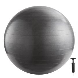 Inshape - Fitnessbold Med Pump 65 cm - SØlv