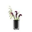AW18 / Kubus vase Lily, black