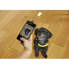 Dog Treat Selfie Clip DIG01