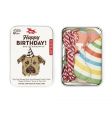 Dog Birthday Kit DIG03