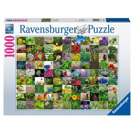 Ravensburger - 99 Herbs And Spices 1000p