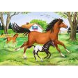 Ravensburger - World of Horses - 2x24p