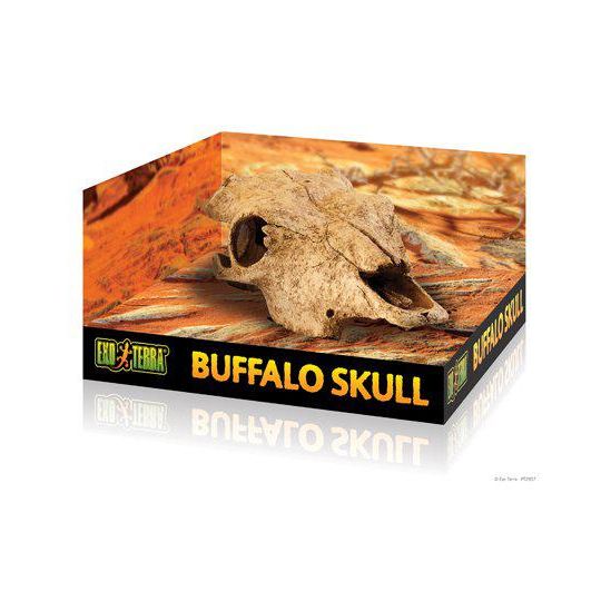 EXOTERRA - Cave Buffalo Skull  - 222.2057