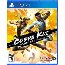 Cobra Kai Karate Kid Saga Continues Import