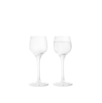 Premium Snapseglas, 2 glas