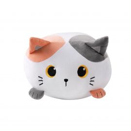 iTotal - Pude - Orange Cat