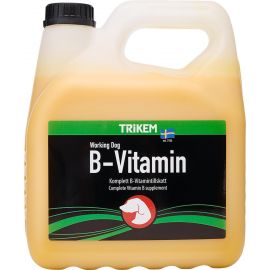 TRIKEM - B-Vitamin 3L - 721.2023