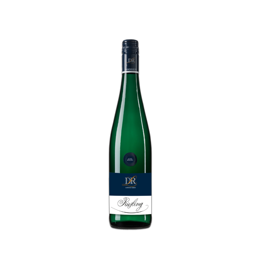 DR LOOSEN RIESLING DRY